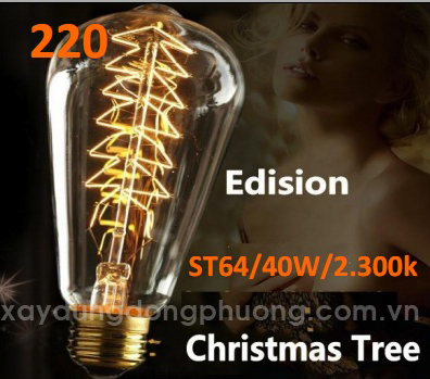 Bóng đèn Edison 220